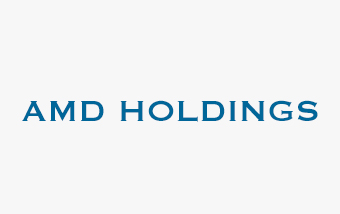 AMD Holdings